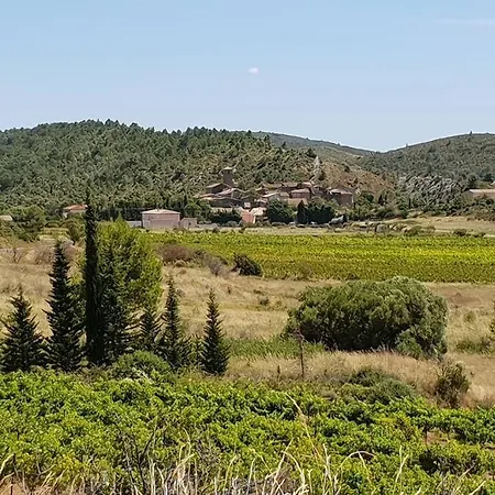 La Maison D' Anne , Nature Et Convivialite ... Σπίτι διακοπών Albas (Aude)