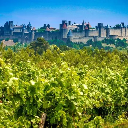 La Maison D' Anne , Nature Et Convivialite ... * Albas (Aude)